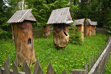 Orawski Park Etnograficzny w Zubrzycy Górnej © jaworex