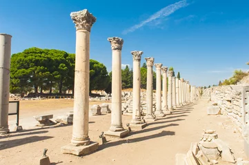 Rolgordijnen Columns in Ephesus © Fyle