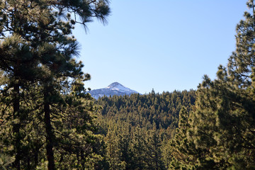 Mountain Teide in Tenerife, Canary Islands, Spain.