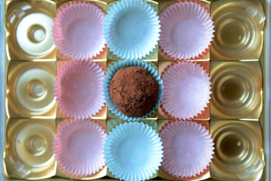 Trufle in a Sweet Box