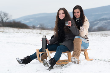 Two girlfriends sledge downhill in winter