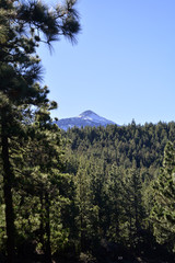 Mountain Teide in Tenerife, Canary Islands, Spain.