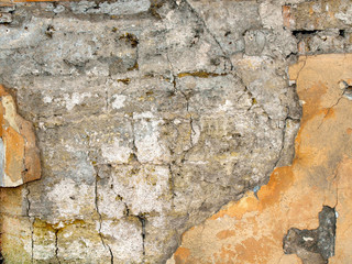 Texture of the old walls of coquina