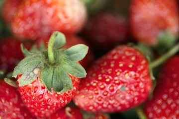 a lot of fresh strawberry