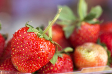 a lot of fresh strawberry