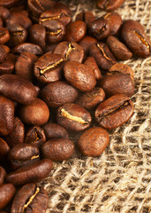 Roasted coffee beans on burlap background.