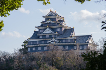 Naklejka premium 岡山城