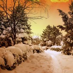 Fototapety na wymiar - Fototapeta24.pl