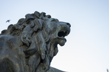 Fototapeta na wymiar Bronze lion sculpture, oldest street in the capital of Spain, th