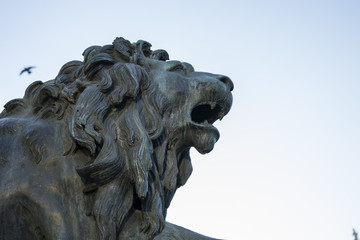 Bronze lion sculpture, oldest street in the capital of Spain, th