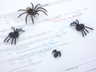 Bugs in the source code