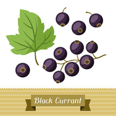 Set of various stylized black currants.