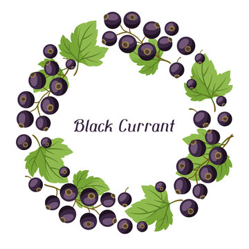 Nature background design with black currants.