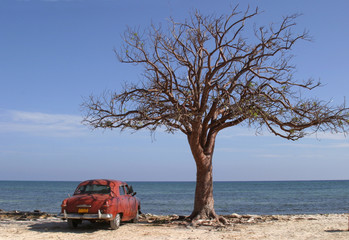 car on the beach