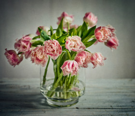 Tulip Still Life