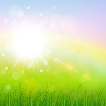 Natural sunny background, spring green