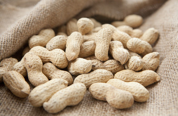 cacahuètes grillées bio