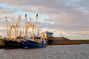 fishing ships at harbor, Den Oever, Netherlands