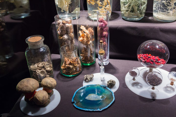 glass jars and cans with natural antidotes for snakebite