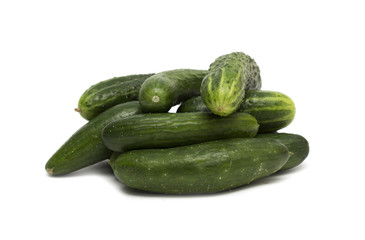 Fresh green cucumber. Photo.