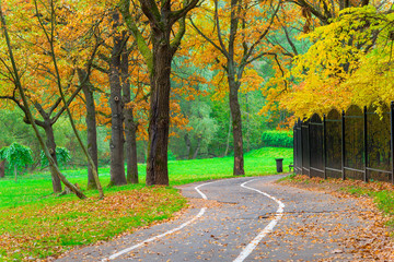 Naklejka premium bicycle path in an empty yellow autumn park