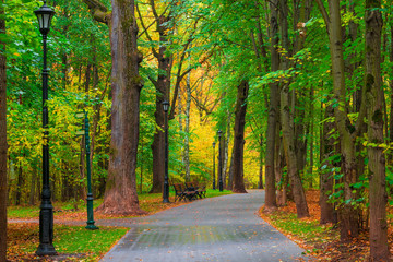 Obraz premium beautiful autumn park city no people