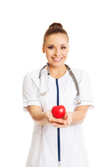 Female doctor holding heart model