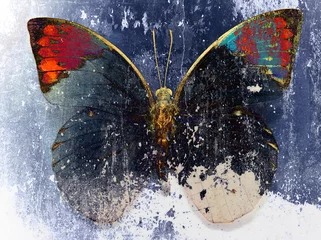 Wall murals Butterflies in Grunge grunge butterfly