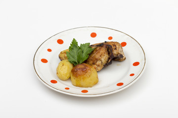 chicken on the white background