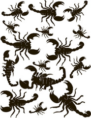Set Scorpions Silhouette Vector