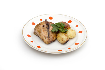 chicken on the white background