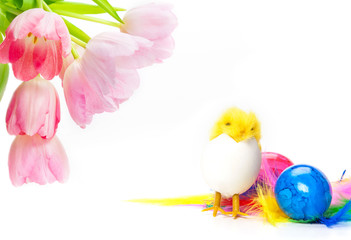 Tulpen, Ostereier, Osterküken