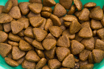 food for cats on the white background