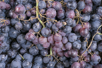 red grape