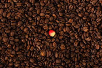 Coffee beans and berry