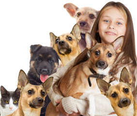 child and a group of puppies