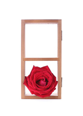 wood shelf decorated with red rose flowers isolated on white bac