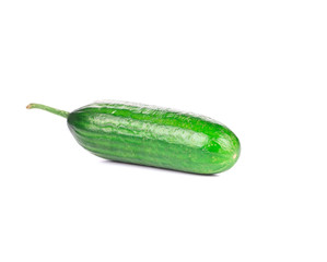fresh cucumber