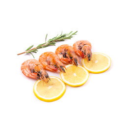 boiled shrimps