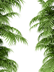 Naklejka premium tropical plant