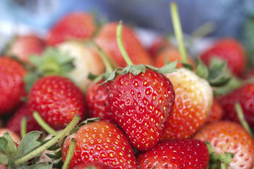 a lot of fresh strawberry