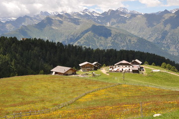 Fototapeta na wymiar Südtirol, Hirzer