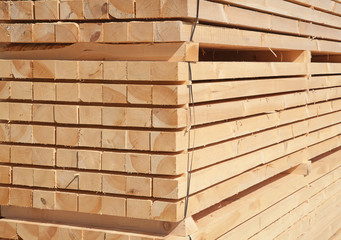 Fresh wooden studs