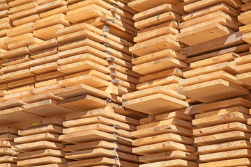 Fresh wooden studs