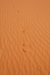 Red sand desert