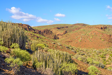 Naklejka premium Gran Canaria landscape