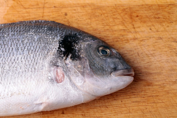 Uncooked fish dorado on wood background
