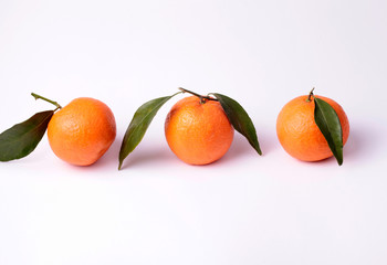 tangerines with leaves