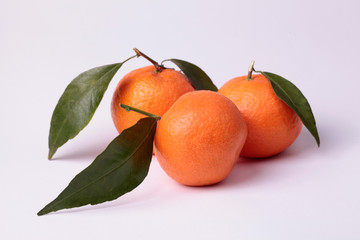 tangerines with leaves