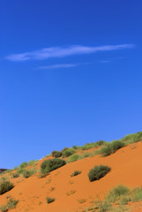 Orangefarbige Dünen im Monument Valley, USA
